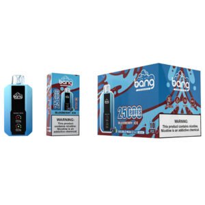 Blueberry Ice Bang Vape 25000 bivpbv25000
