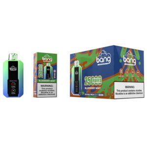 Blueberry Mint Bang Vape 25000 bivpbv25000